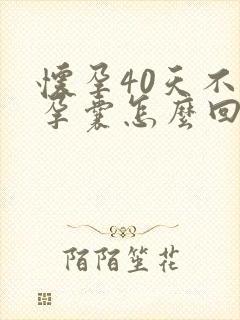 怀孕40天不见孕囊怎么回事封面