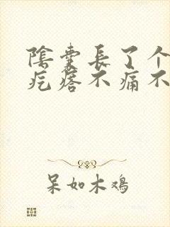 阴囊长了个小硬疙瘩不痛不痒