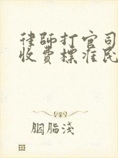 律师打官司怎么收费标准民事纠纷房产官司