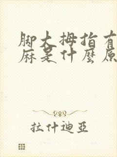 脚大拇指有点发麻是什么原因