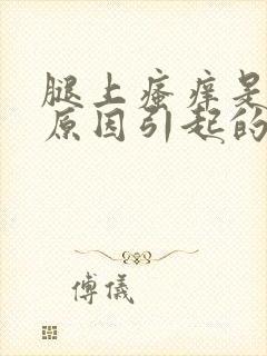 腿上瘙痒是什么原因引起的
