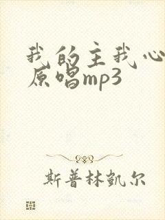 我的主我心爱你原唱mp3封面