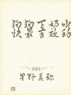 狗狗下奶吃什么快最有效的方法