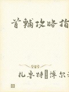 首辅攻略指南