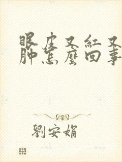 眼皮又红又痒又肿怎么回事