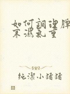 如何调理脾胃虚寒湿气重