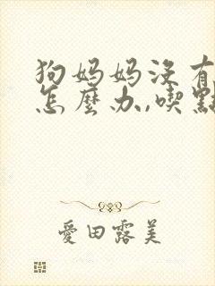 狗妈妈没有奶水怎么办,吃点什么好