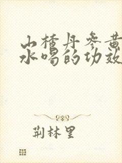 山楂丹参黄芪泡水喝的功效与作用
