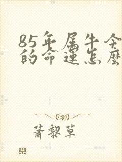 85年属牛今年的命运怎么样