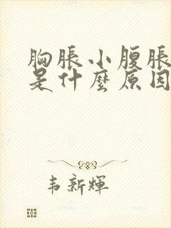 胸胀小腹胀腰酸是什么原因