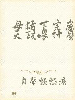 母猪下完崽第一天该喂什么