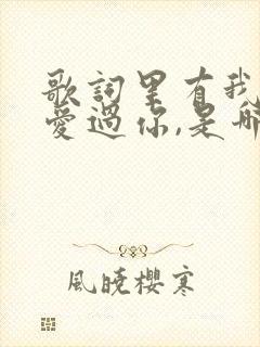 歌词里有我曾经爱过你,是哪首歌曲