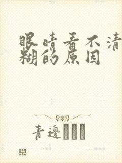 眼晴看不清楚模糊的原因