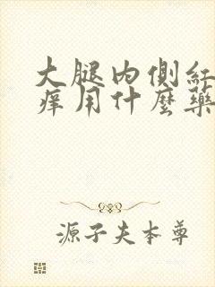 大腿内侧红斑瘙痒用什么药