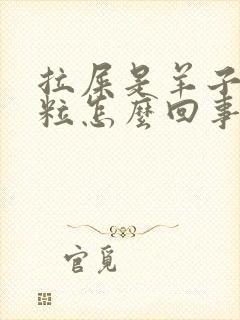 拉屎是羊子屎颗粒怎么回事