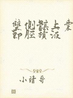 双侧髌上囊及关节腔积液