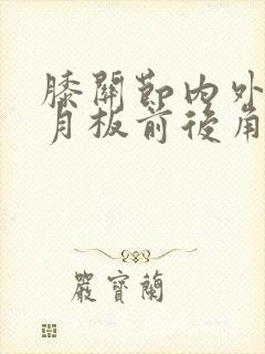 膝关节内外侧半月板前后角损伤2度