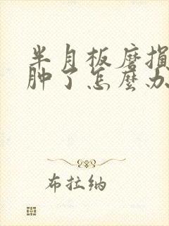 半月板磨损膝盖肿了怎么办封面