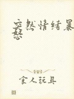 突然情绪暴躁易怒封面
