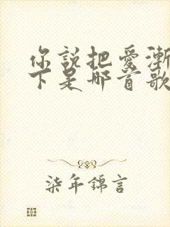 你说把爱渐渐放下是哪首歌的歌词