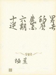 十六岁的男孩叛逆期怎么去沟通封面