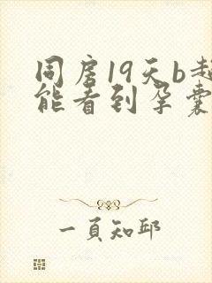 同房19天b超能看到孕囊吗