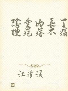 阴囊内长了一个硬疙瘩不痛不痒