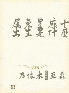 属兔农历十二月出生是什么命封面