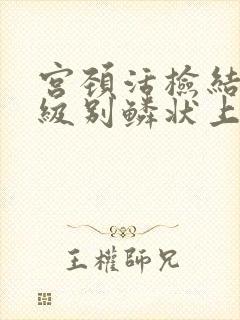 宫颈活检结果高级别鳞状上皮内病变