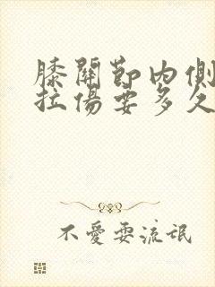 膝关节内侧韧带拉伤要多久恢复封面