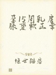 孕15周乳房不胀变软正常吗封面