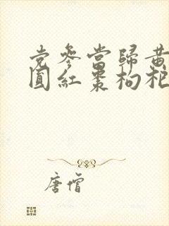 党参当归黄芪桂圆红枣枸杞