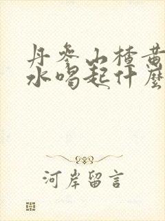丹参山楂黄芪泡水喝起什么作用