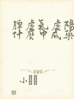 脾虚气虚阳虚吃什么中成药