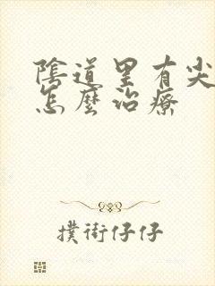 阴道里有尖疣湿怎么治疗