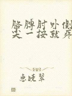 胳膊肘外侧骨头尖一按就疼封面