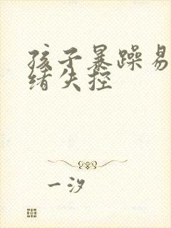孩子暴躁易怒情绪失控封面