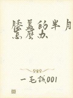 膝盖的半月板疼怎么办封面