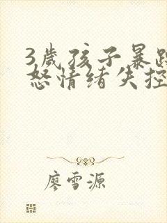 3岁孩子暴躁易怒情绪失控有暴力倾向