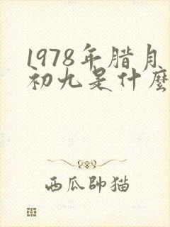 1978年腊月初九是什么星座