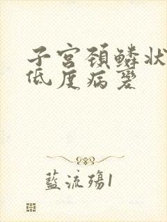 子宫颈鳞状上皮低度病变封面