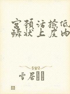 宫颈活检低级别鳞状上皮内病变是什么意思
