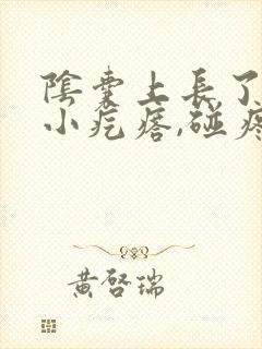 阴囊上长了一个小疙瘩,碰疼