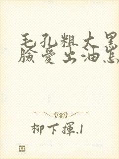 毛孔粗大黑头多脸爱出油怎么解决