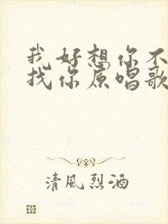 我好想你不能去找你原唱歌曲