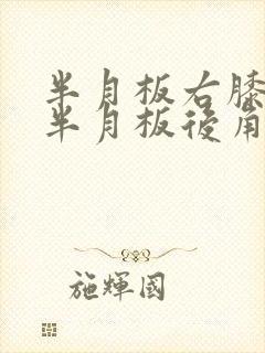 半月板右膝内侧半月板后角撕裂
