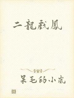 二龙戏凤封面