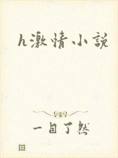 h激情小说