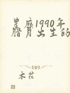 农历1990年腊月出生的命运