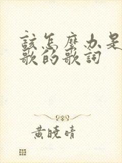 该怎么办是哪首歌的歌词